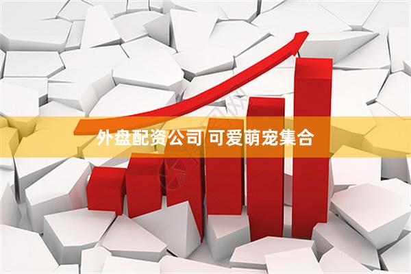 外盘配资公司 可爱萌宠集合